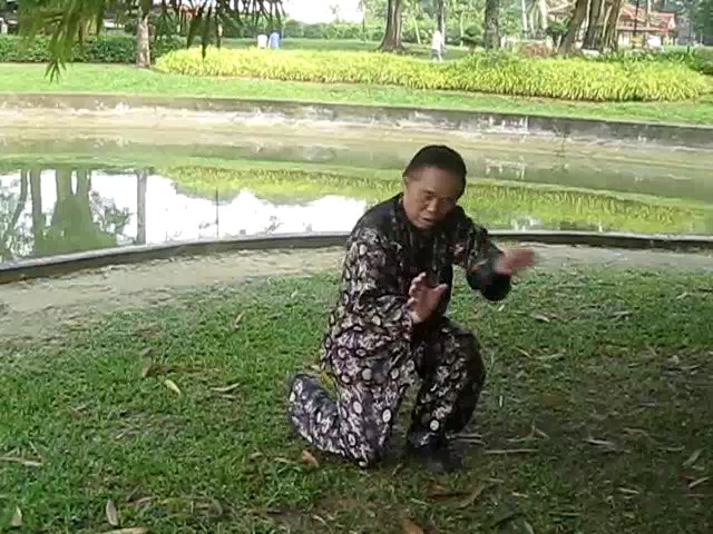 Shaolin 72 Chin-Na Techniques 2015
